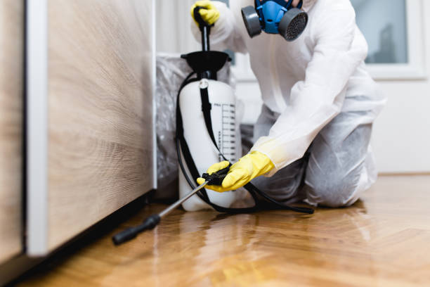 Best Pest Control for Businesses  in Forsyth, MO