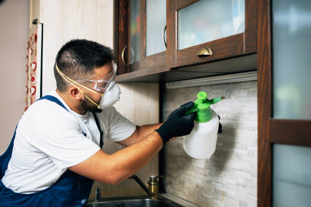 Best Affordable Pest Control Services  in Forsyth, MO