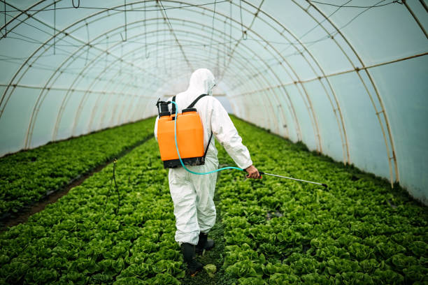 Best Pest Control Cost  in Forsyth, MO