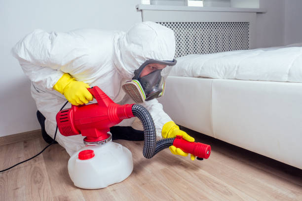 Trusted Forsyth, MO Pest Control Experts