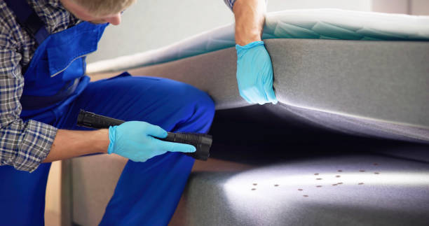 Best Emergency Pest Control  in Forsyth, MO