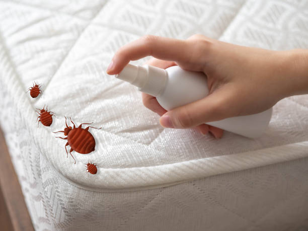 Best Residential Pest Control  in Forsyth, MO