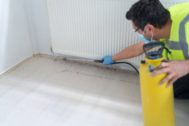 Best Residential Pest Control  in Forsyth, MO