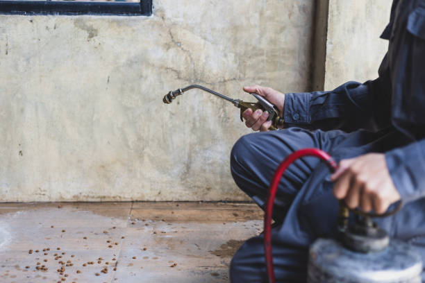Best Local Pest Control Services  in Forsyth, MO